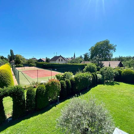 Bed and Breakfast "Ma Vie La" Alsace Кингерсхайм Экстерьер фото